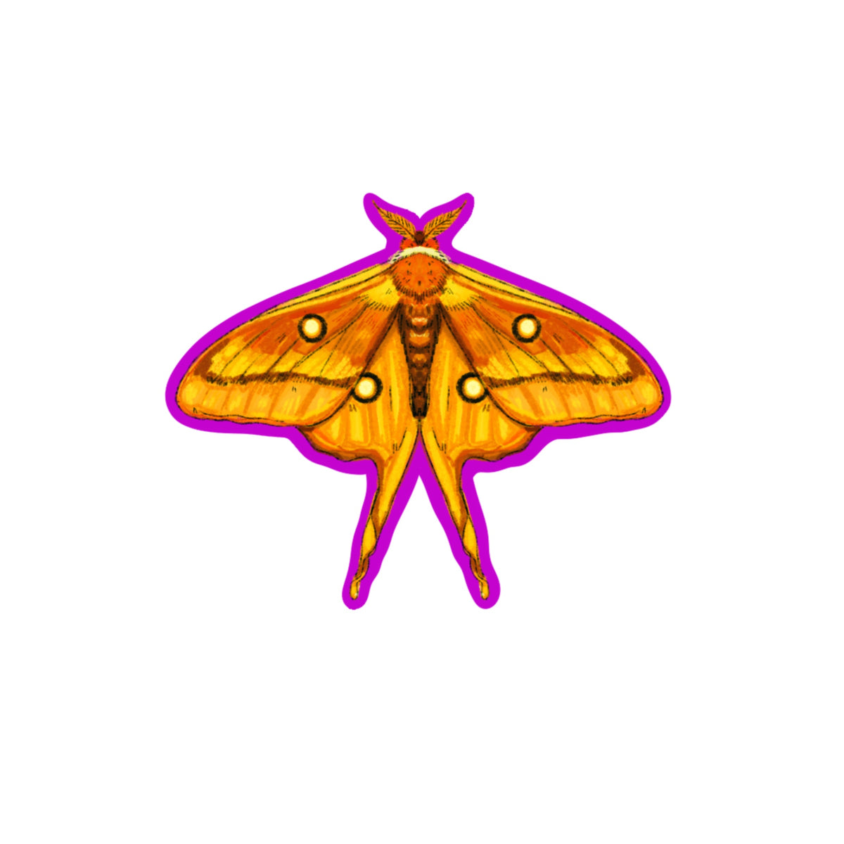 Moth Mini Sticker